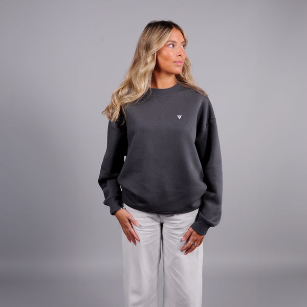 Oversized DS Embroidered Logo Sweatshirt